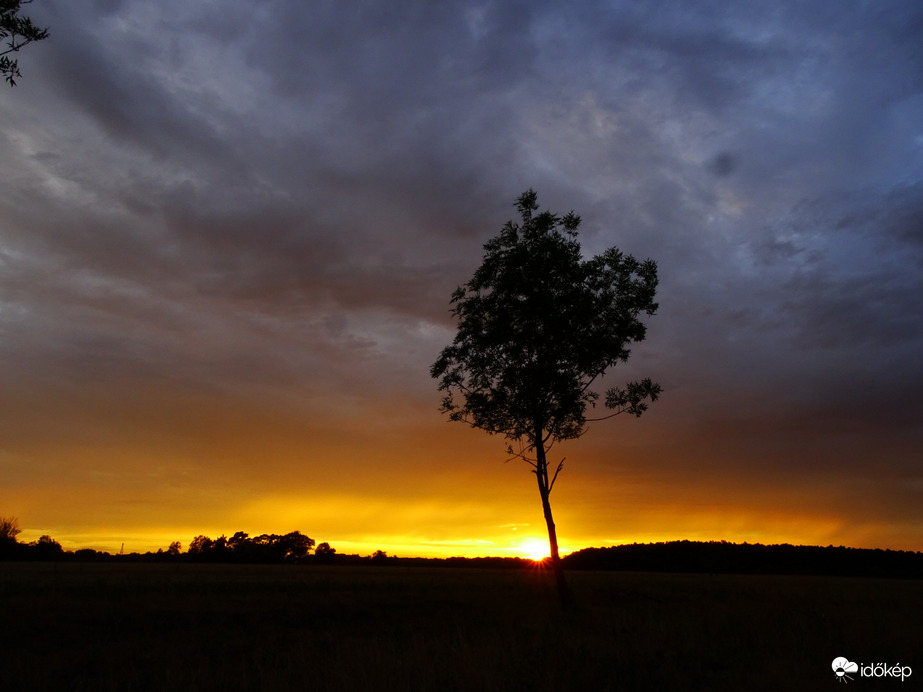 Hódmezővásárhely 