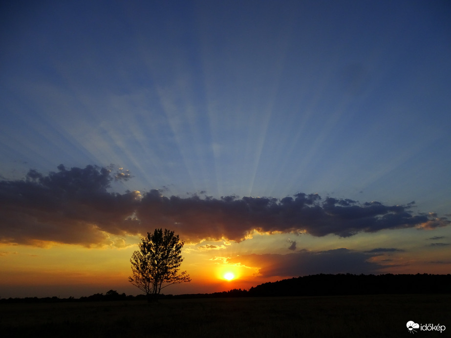 Hódmezővásárhely 