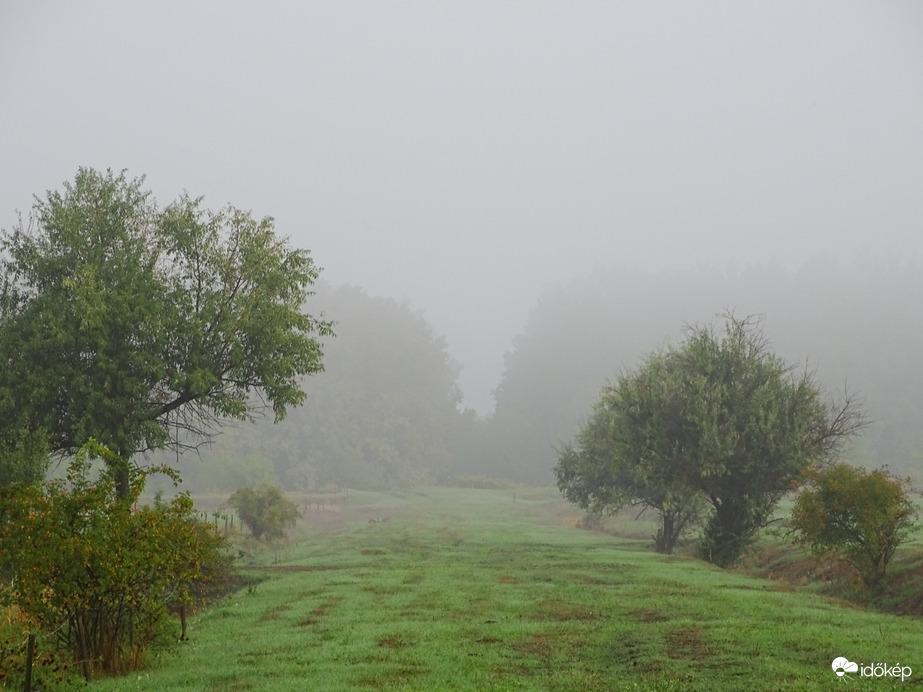 Hódmezővásárhely 