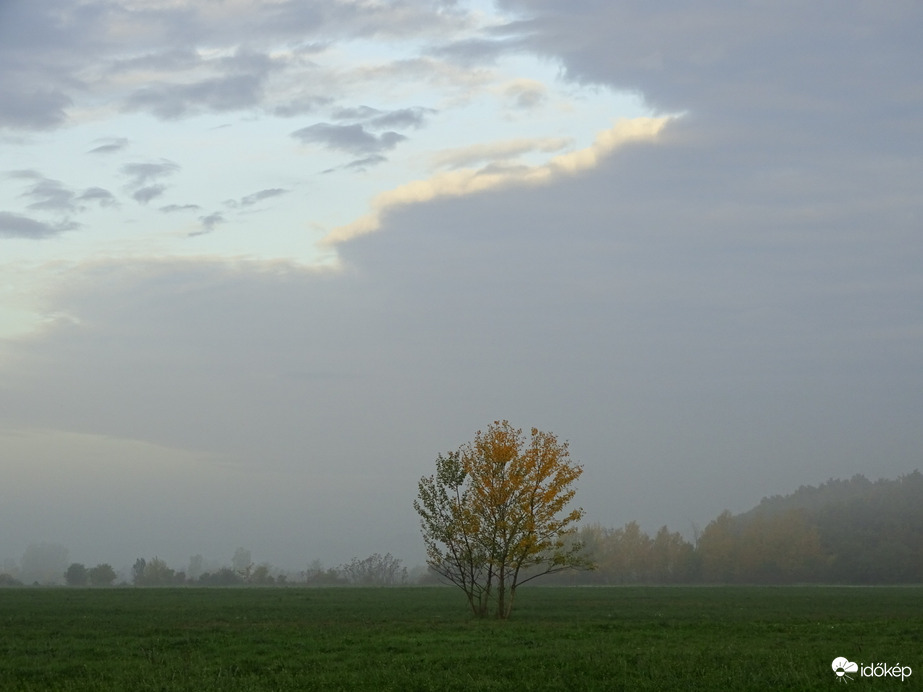 Hódmezővásárhely 
