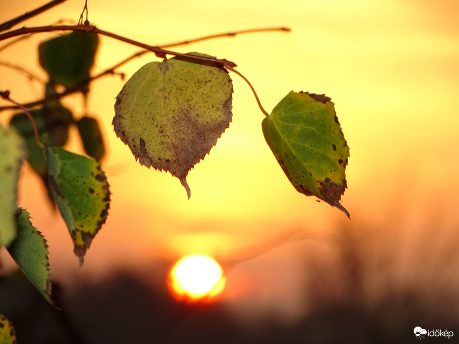 Hódmezővásárhely 