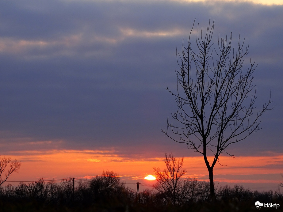 Hódmezővásárhely 