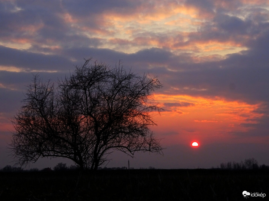 Hódmezővásárhely 