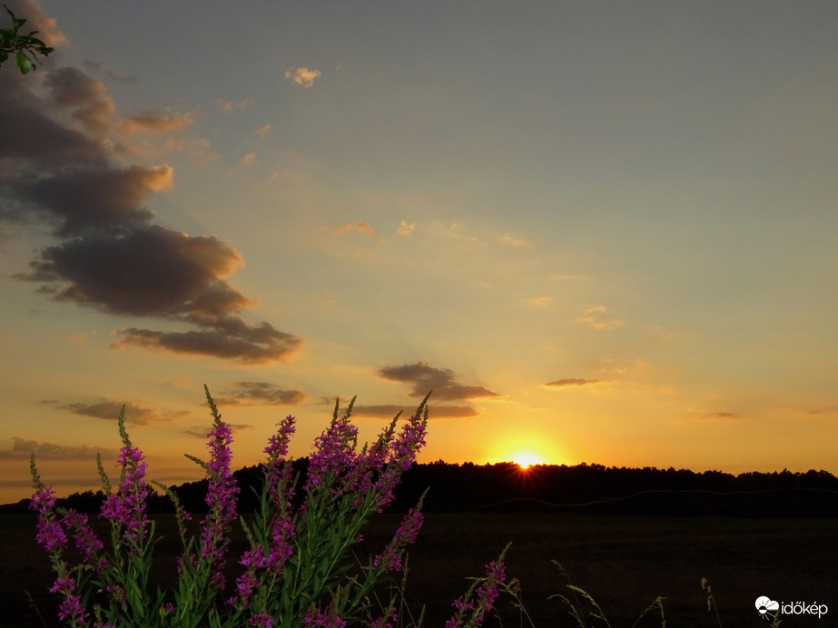 Hódmezővásárhely 
