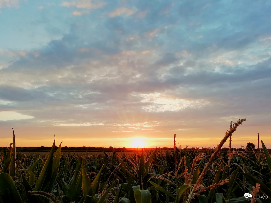Hódmezővásárhely 