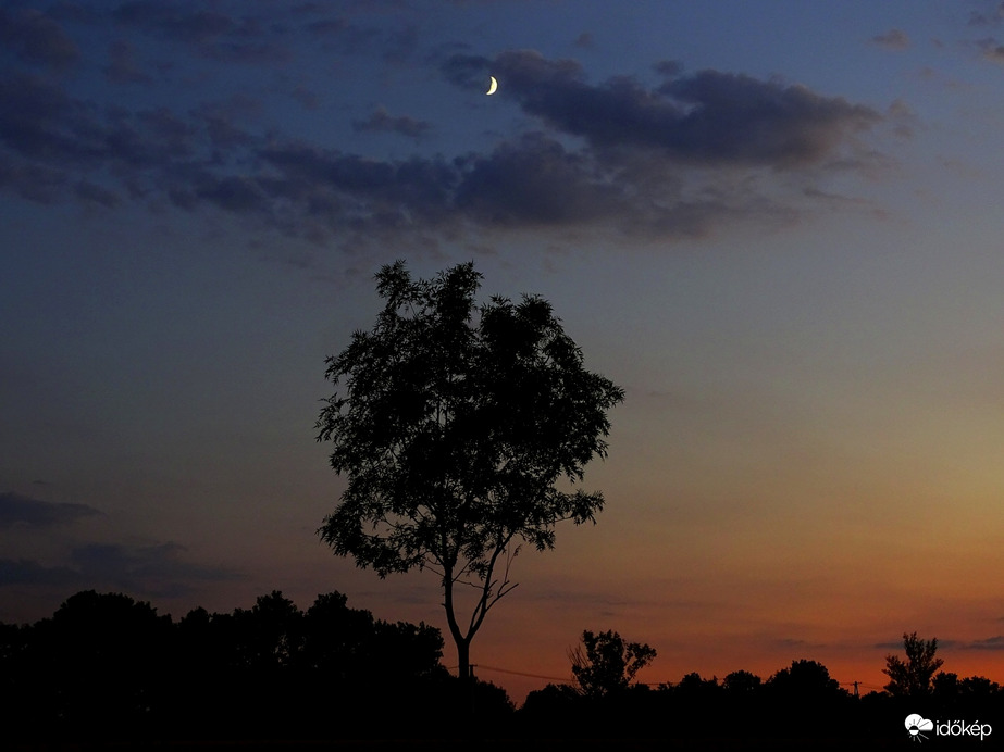 Hódmezővásárhely 