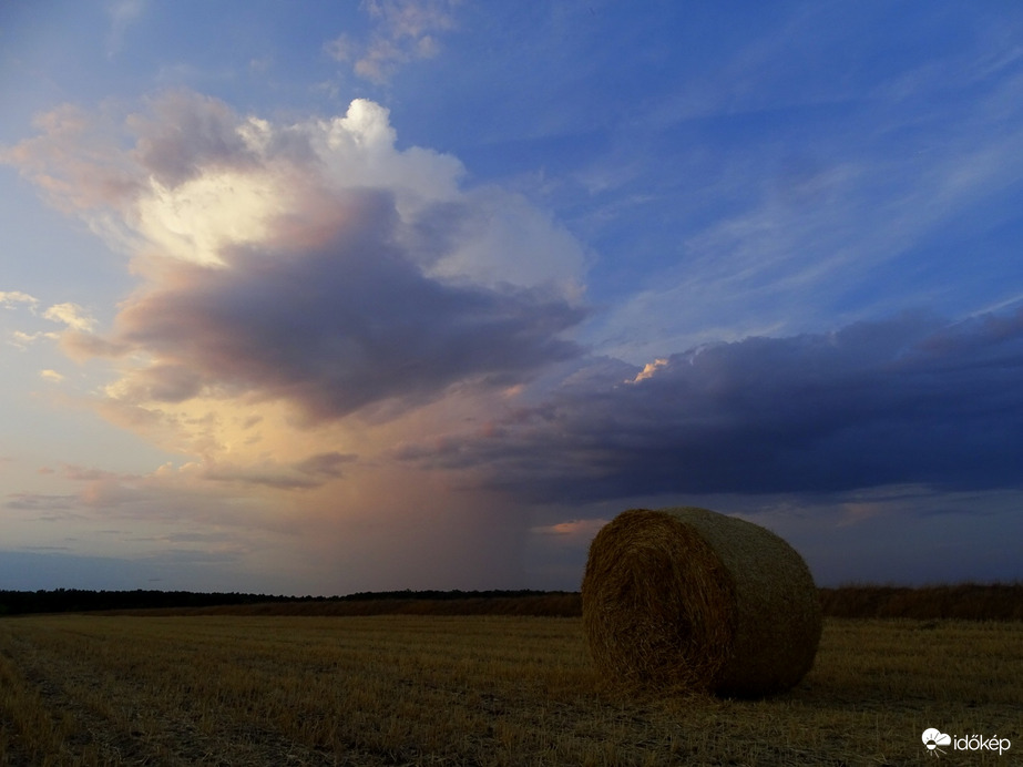 Hódmezővásárhely 