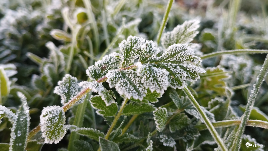 Hódmezővásárhely 