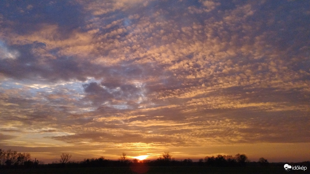 Hódmezővásárhely 