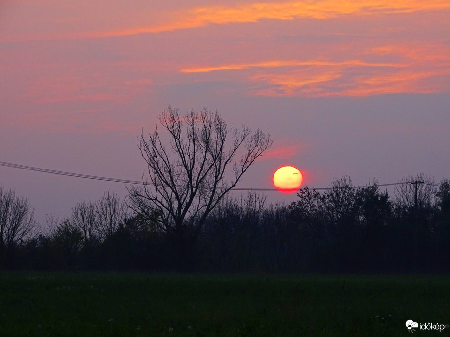 Hódmezővásárhely 