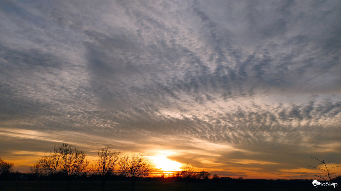 Hódmezővásárhely 