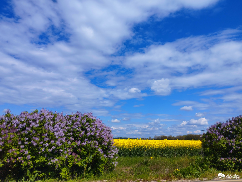 Színek talàlkozàsa