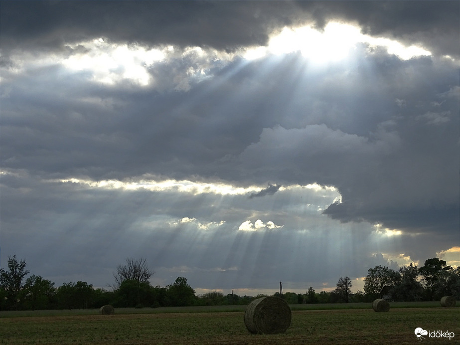 Hódmezővásárhely 