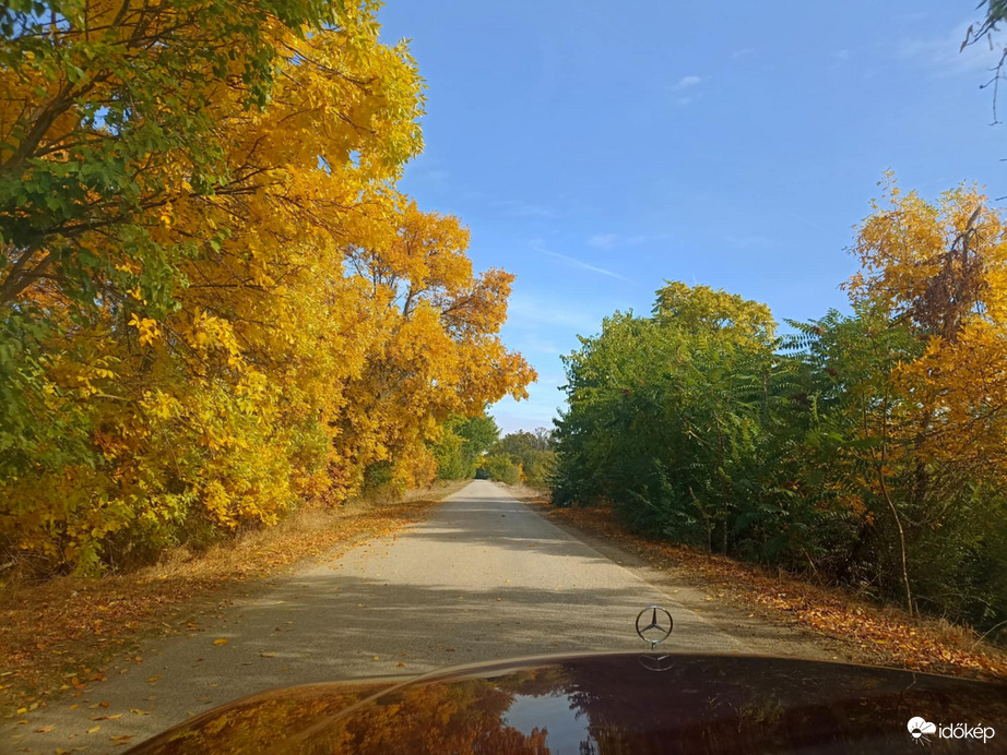 Hódmezővásárhely 