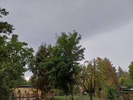 Pócsmegyer