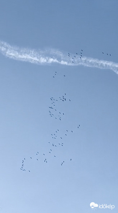 Nagy vonulás. Csodacsapat. 