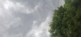 Tés