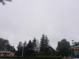 Varbó
