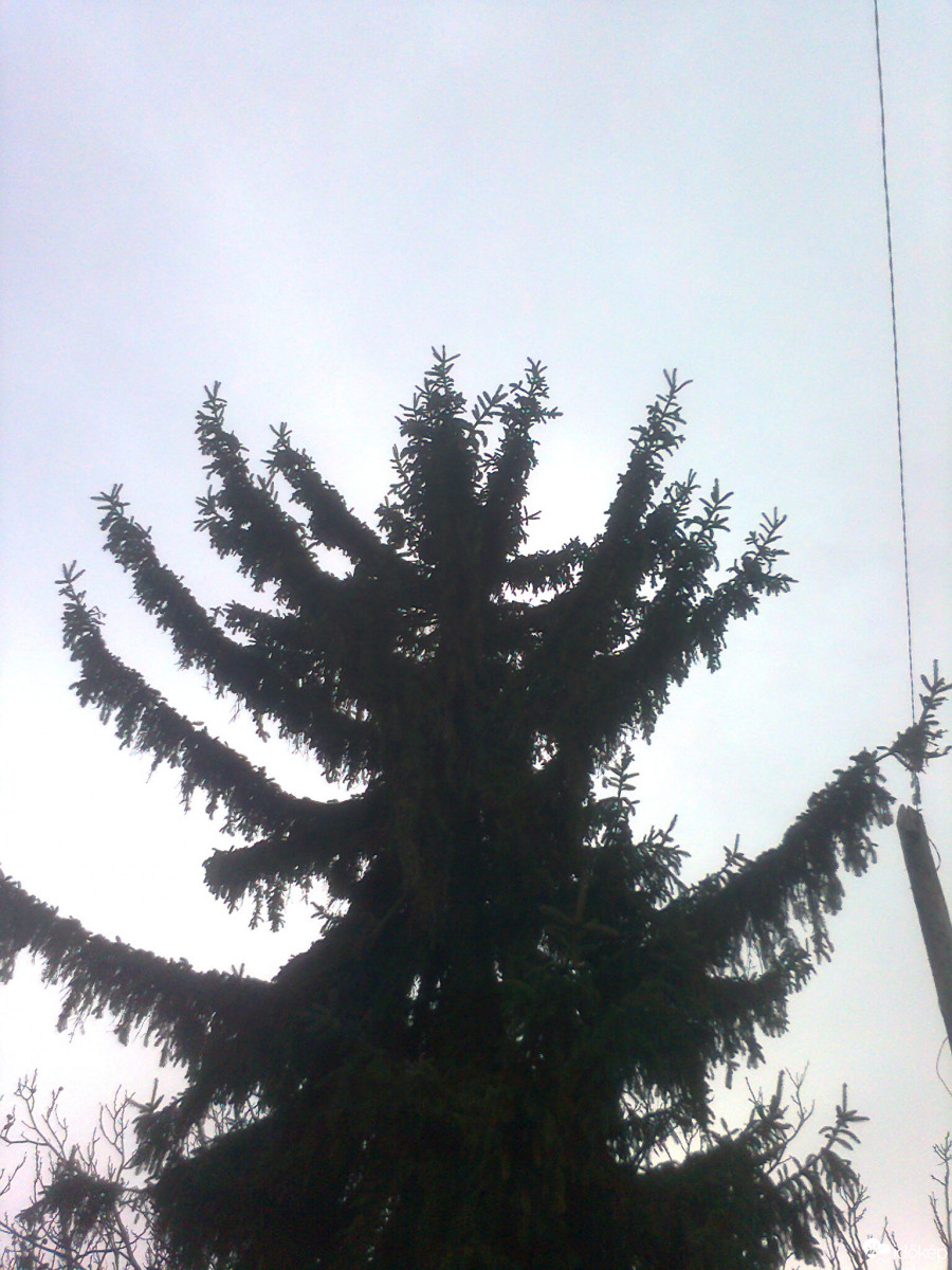 Ercsi