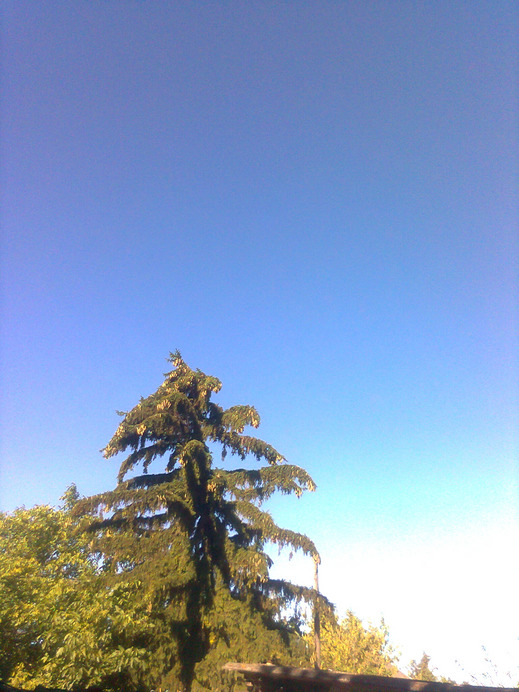 Ercsi