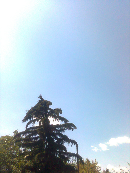 Ercsi