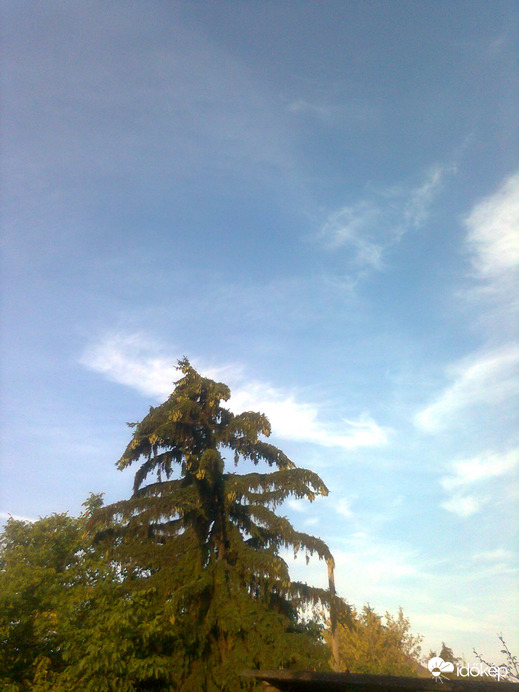 Ercsi