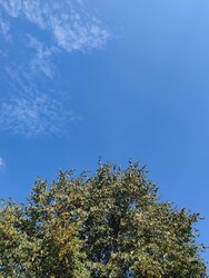 Sajóvámos