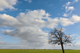 Felhők