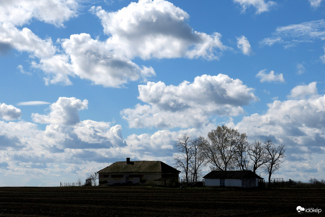Csongrád külterület