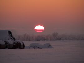 2026.01.09. Csongrád külterület