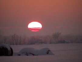 2026.01.09. Csongrád külterület