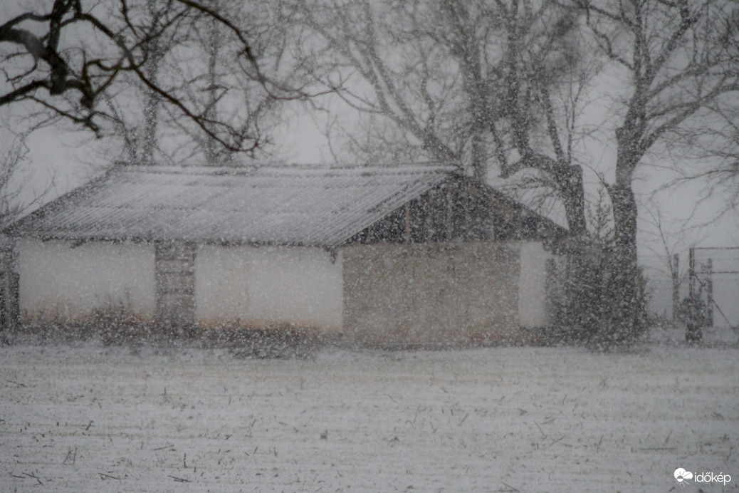 2026.02.03. Csongrád külterület