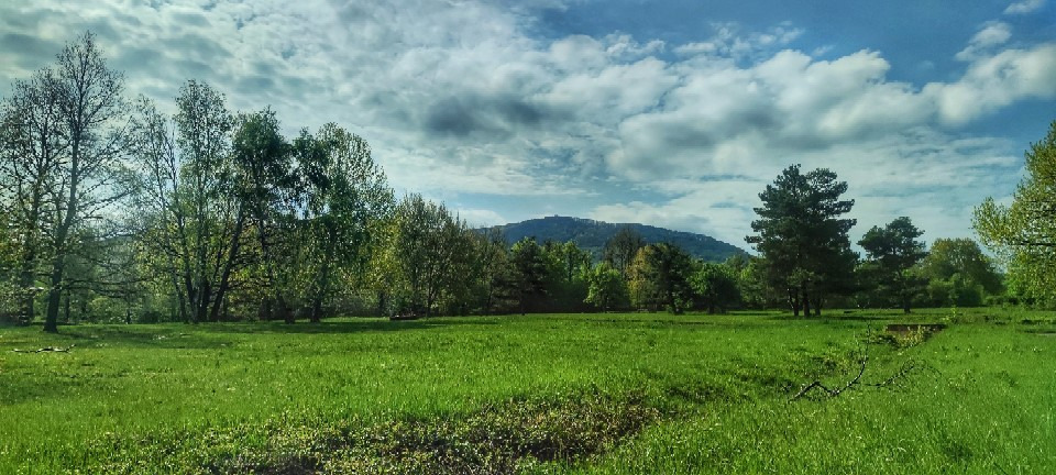 Parád
