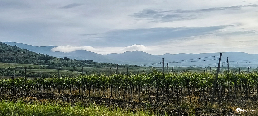 Abasár