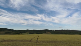 Nyárelő