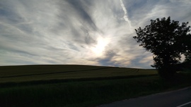 Nyárelő