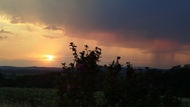 felhők