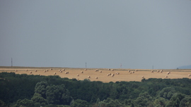 blek fotója