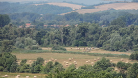 blek fotója