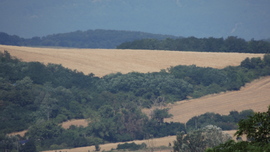 blek fotója