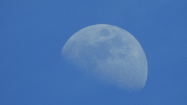 délutáni