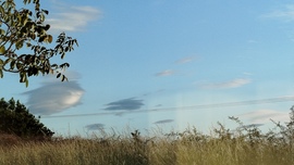 blek fotója
