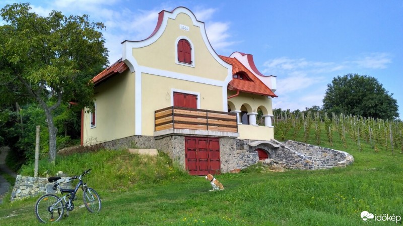 Kisapáti