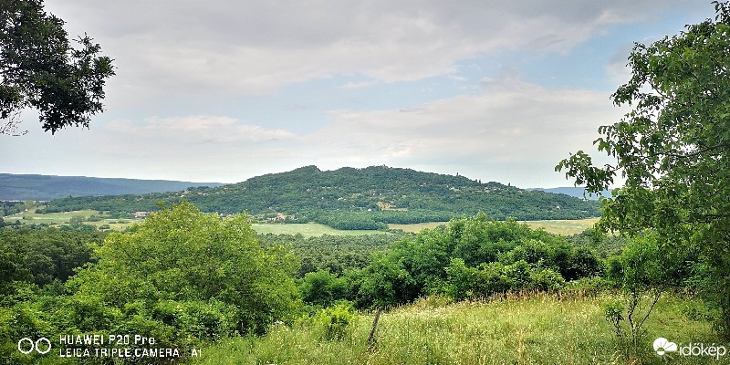 Zalahaláp