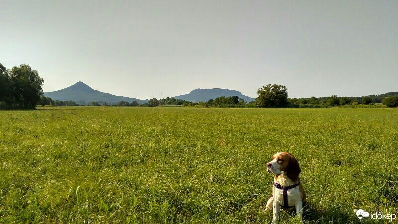 Tapolca
