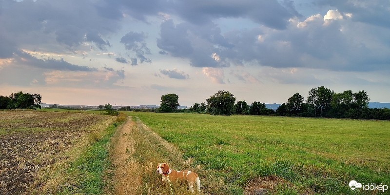 Kisapáti
