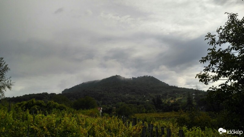 Kisapáti