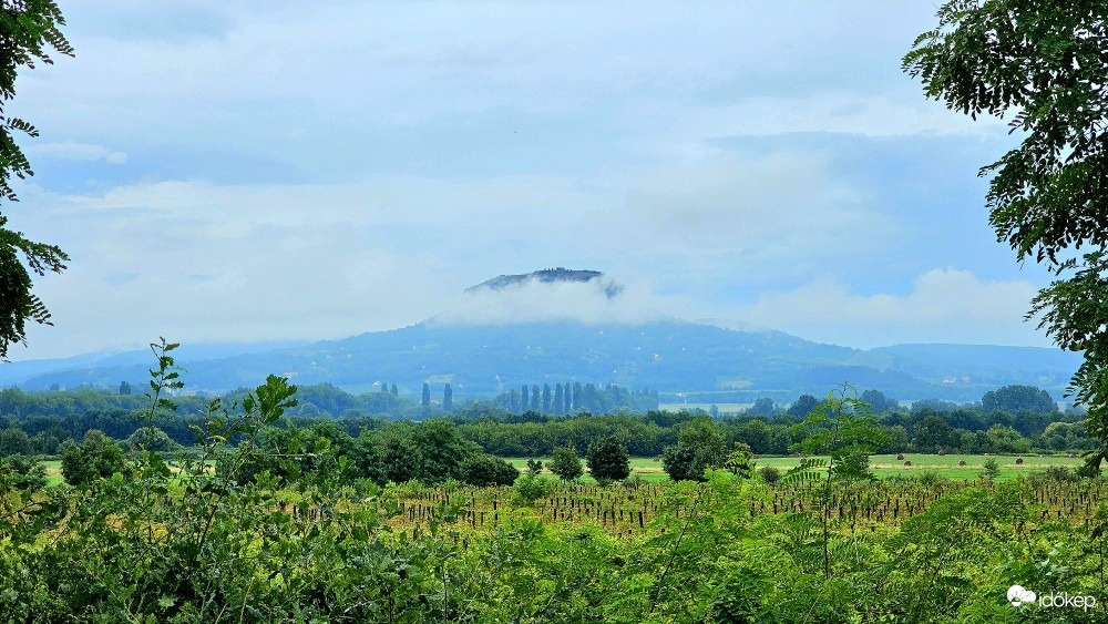 Kisapáti