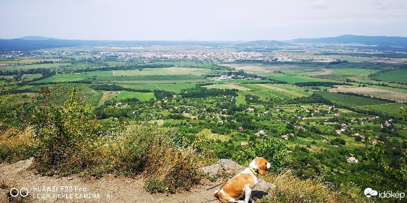Kisapáti