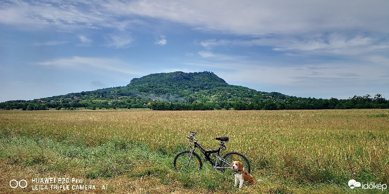 Kisapáti